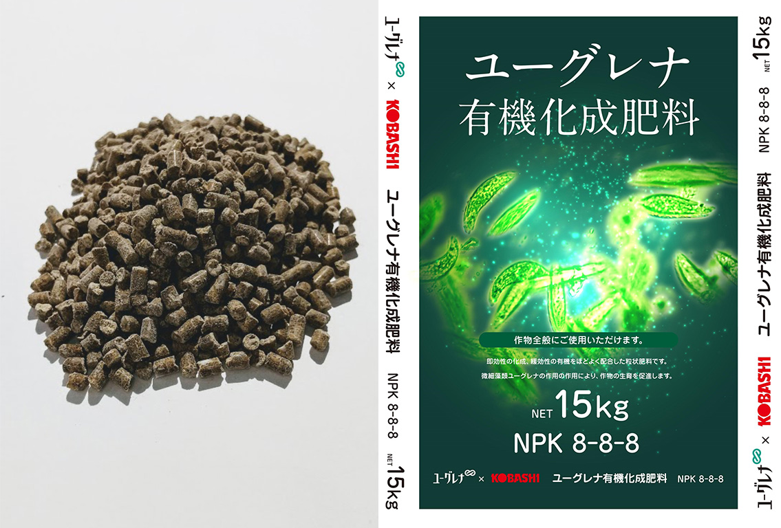 微細藻類ユーグレナを肥料として利用することで収穫量の増加や収穫後の作物鮮度の低下を抑制する可能性を示唆 株式会社ユーグレナ