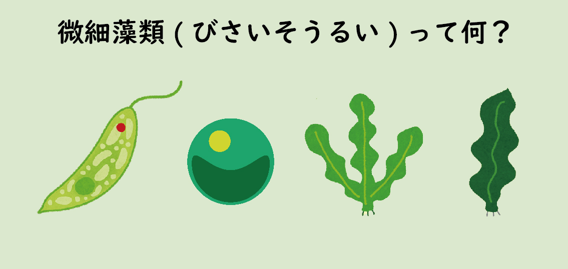 小さな生物”藻“が地球の未来を変える！？「微細藻類」とは？【第1回】太古の時代から地球環境を育み、持続可能な未来に向けて注目される「微細藻類」とは？