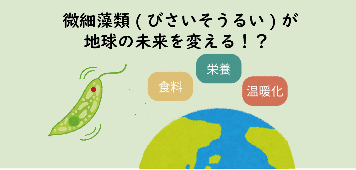 小さな生物”藻“が地球の未来を変える！？「微細藻類」とは？【第3回】食品以外でもさまざまな分野での利用が期待される「微細藻類」