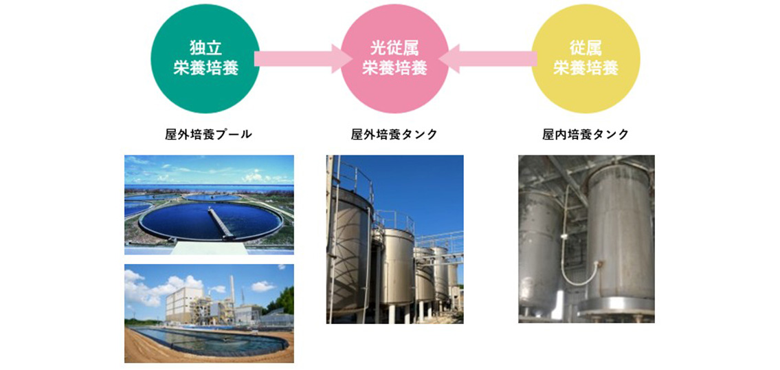 ユーグレナ社の微細藻類の培養方法について解説